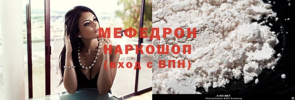 стаф Инта