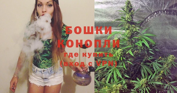 стаф Инта