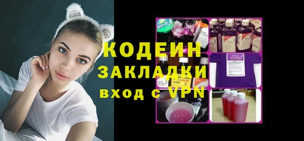 стаф Инта