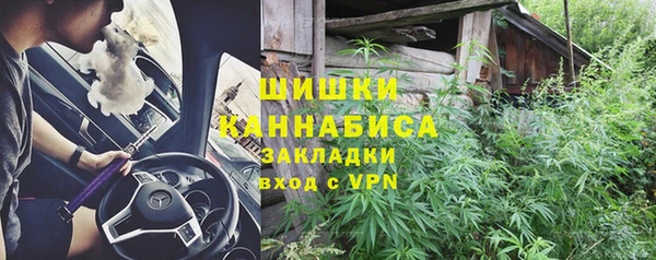 стаф Инта