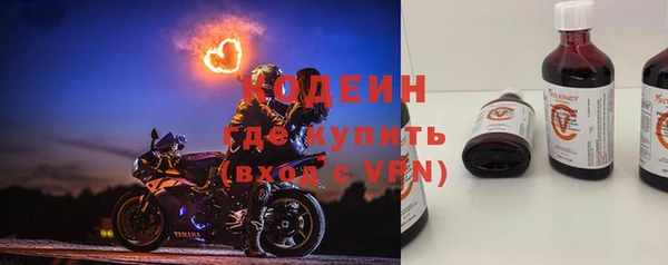 стаф Инта
