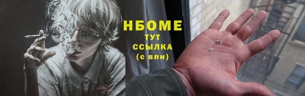 стаф Инта