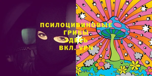 стаф Инта