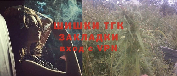 стаф Инта