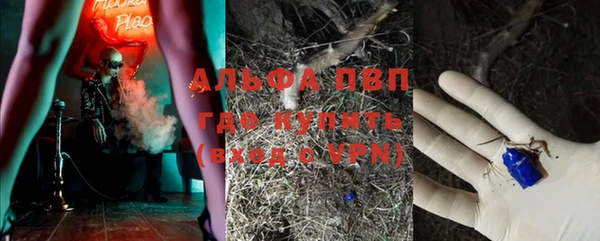 a pvp Иннополис