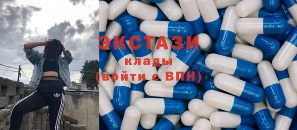 стаф Инта