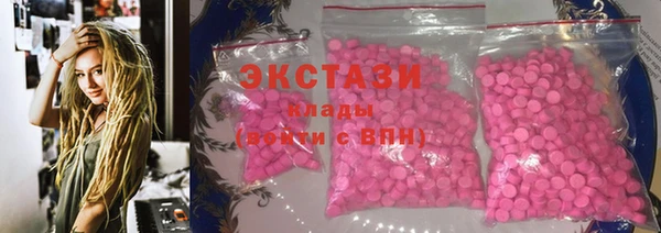 стаф Инта