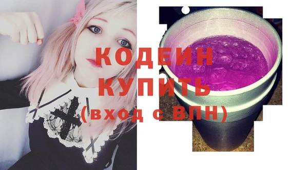 стаф Инта