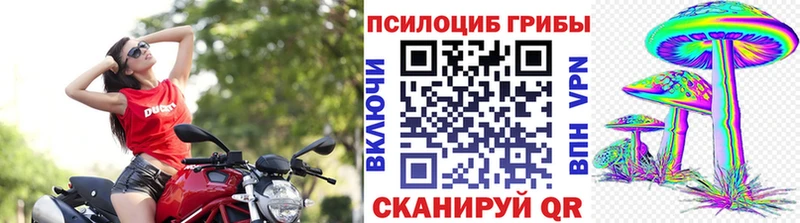 Псилоцибиновые грибы мухоморы  mega рабочий сайт  Пушкино 